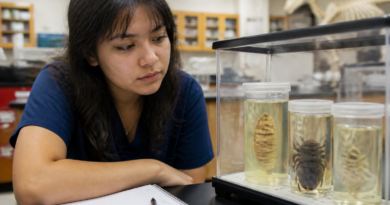 As New World Screwworm Range Expands, a Pre-Vet Student Sounds the Alarm on a Parasite That Eats Living Flesh