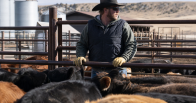 Trump Pauses Ground Beef Tariffs After Backlash From Ranchers and Rural Republicans