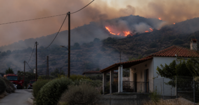 Two Dead, Several Injured as Wildfires Ravage Greek Island of Salamina