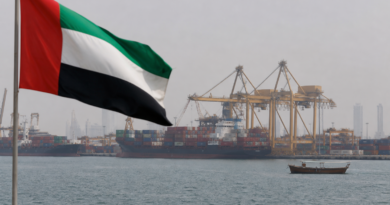 UAE Cuts Iran Trade as Tehran Rejects 'Baseless' Accusations in Spiraling Gulf Dispute